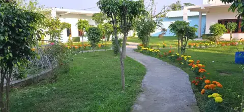 DTR Jungle Hideaways resort property and rooms 26