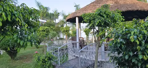 DTR Jungle Hideaways resort property and rooms 27