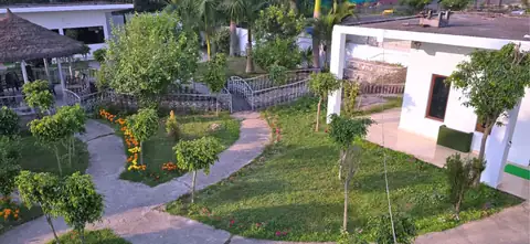 DTR Jungle Hideaways resort property and rooms 29