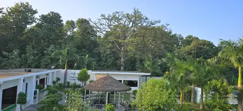 DTR Jungle Hideaways resort property and rooms 30