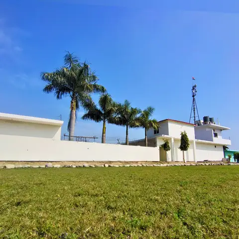 DTR Jungle Hideaways resort property and rooms 4