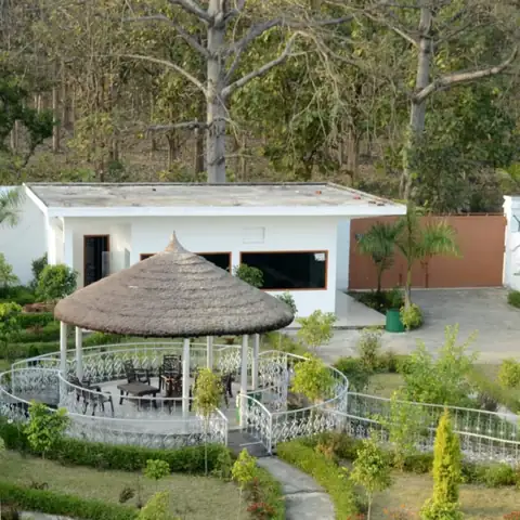 DTR Jungle Hideaways resort property and rooms 41