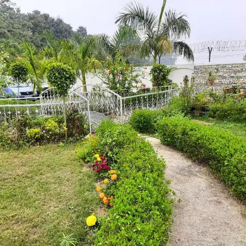 DTR Jungle Hideaways resort property and rooms 5