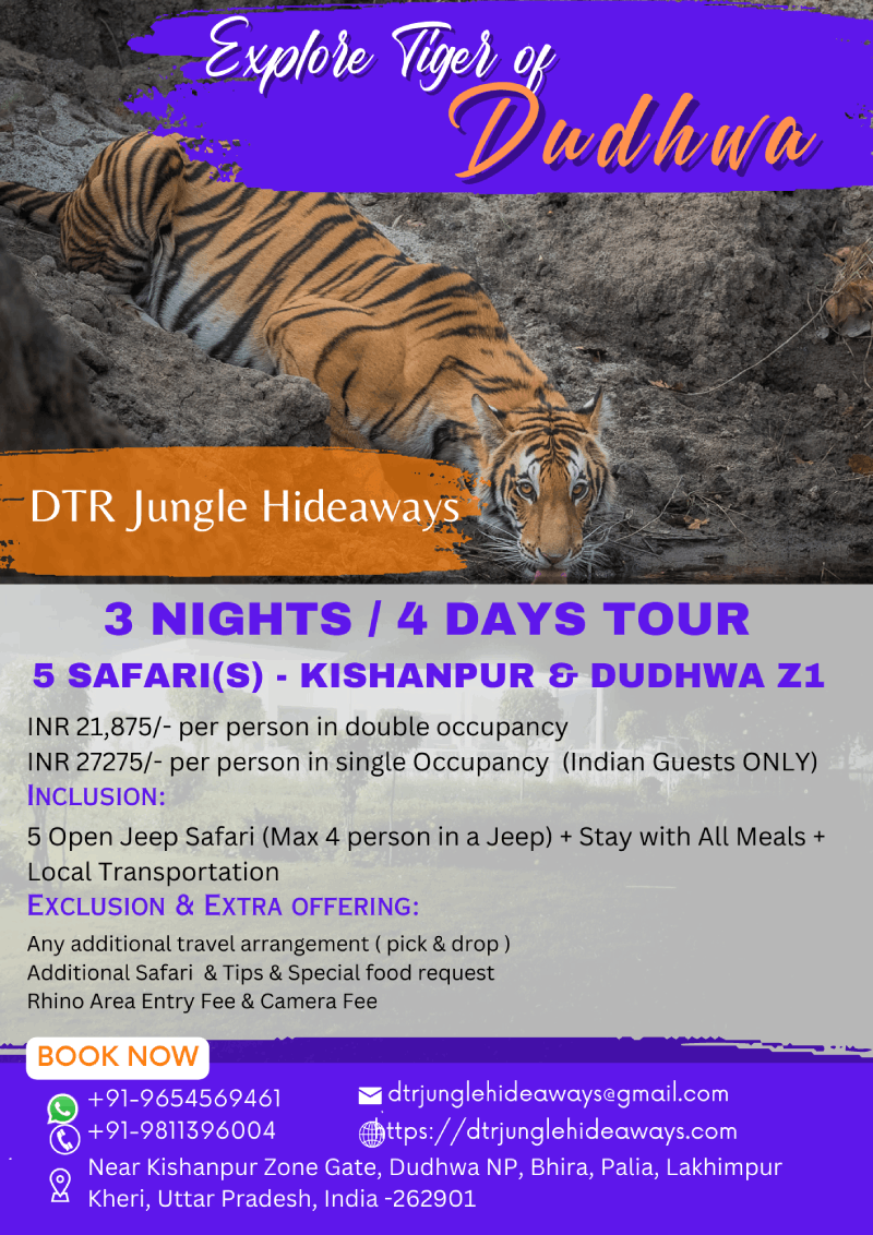 Tiger Reserve Holiday Tour Packages in Dudhwa National Park