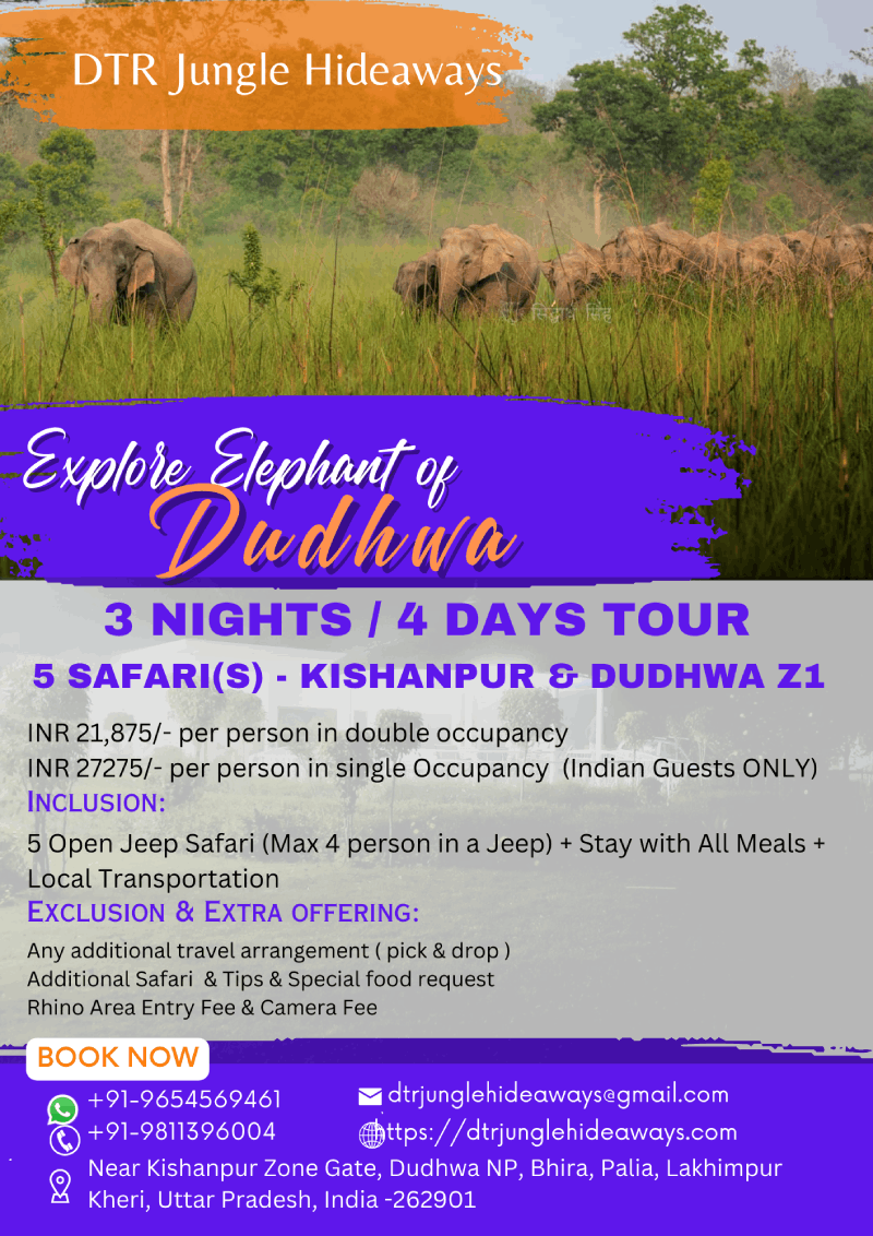 Tiger Reserve Holiday Tour Packages in Dudhwa National Park
