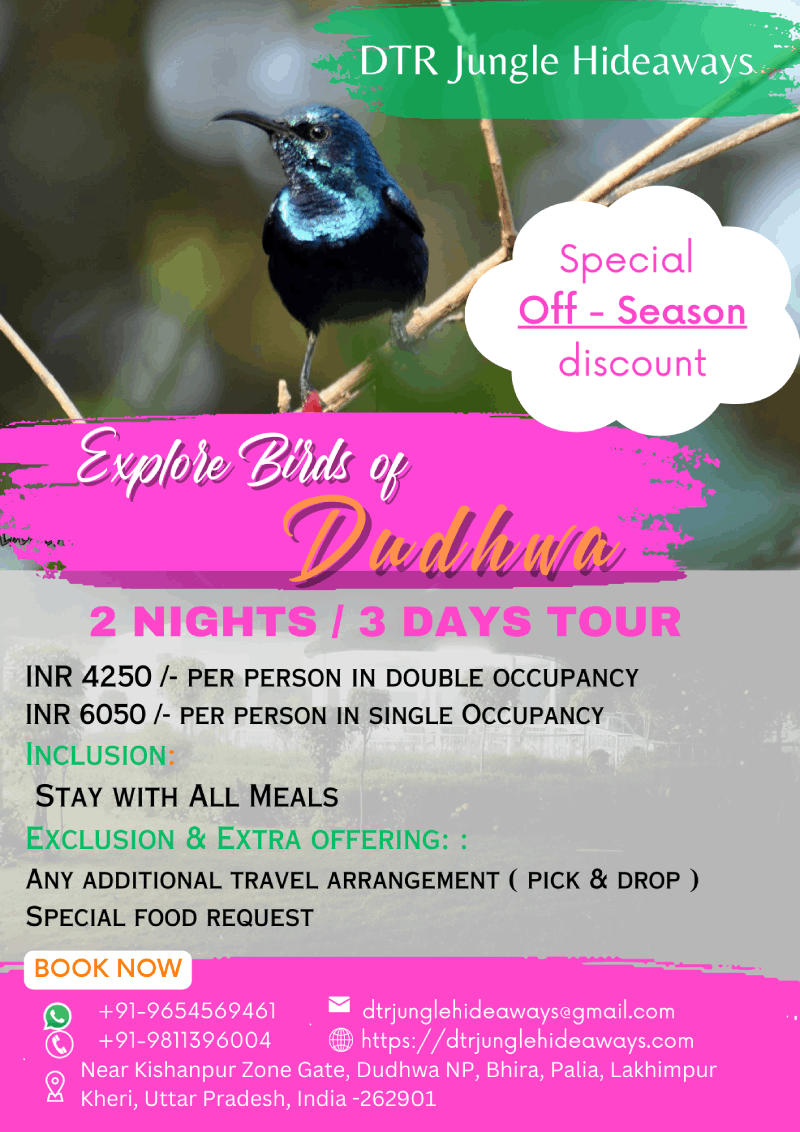kishanpur wildlife sanctuary resort packages