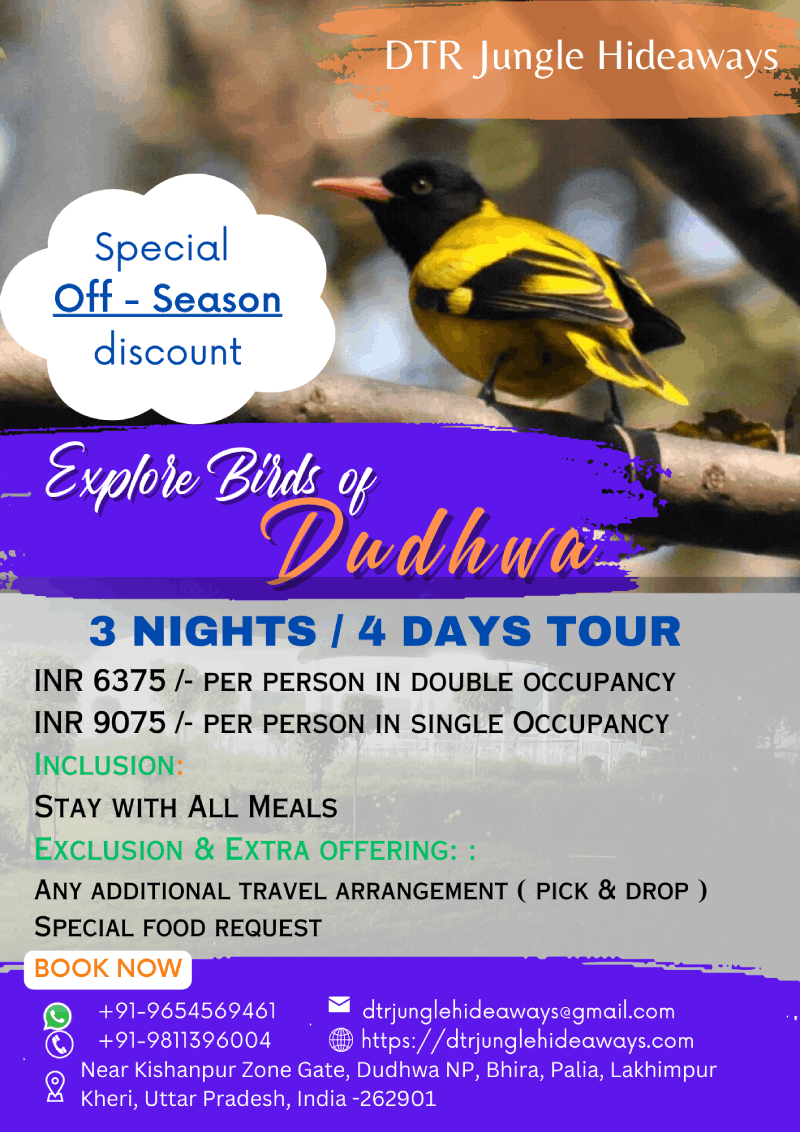 kishanpur wildlife sanctuary resort packages