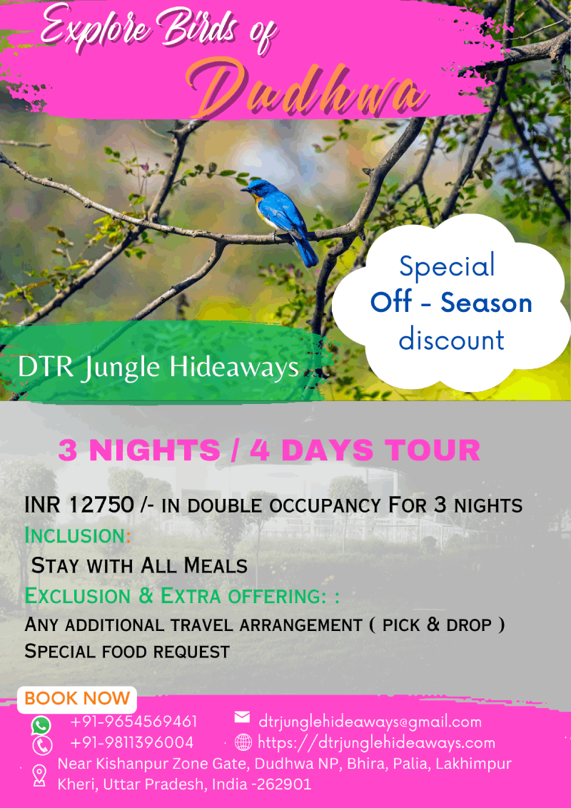 kishanpur wildlife sanctuary resort packages