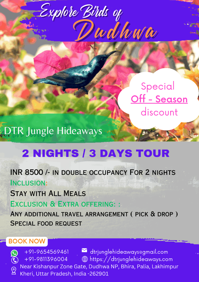 kishanpur wildlife sanctuary resort packages