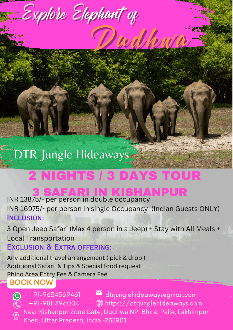 Tiger Reserve Holiday Tour Packages in Dudhwa National Park