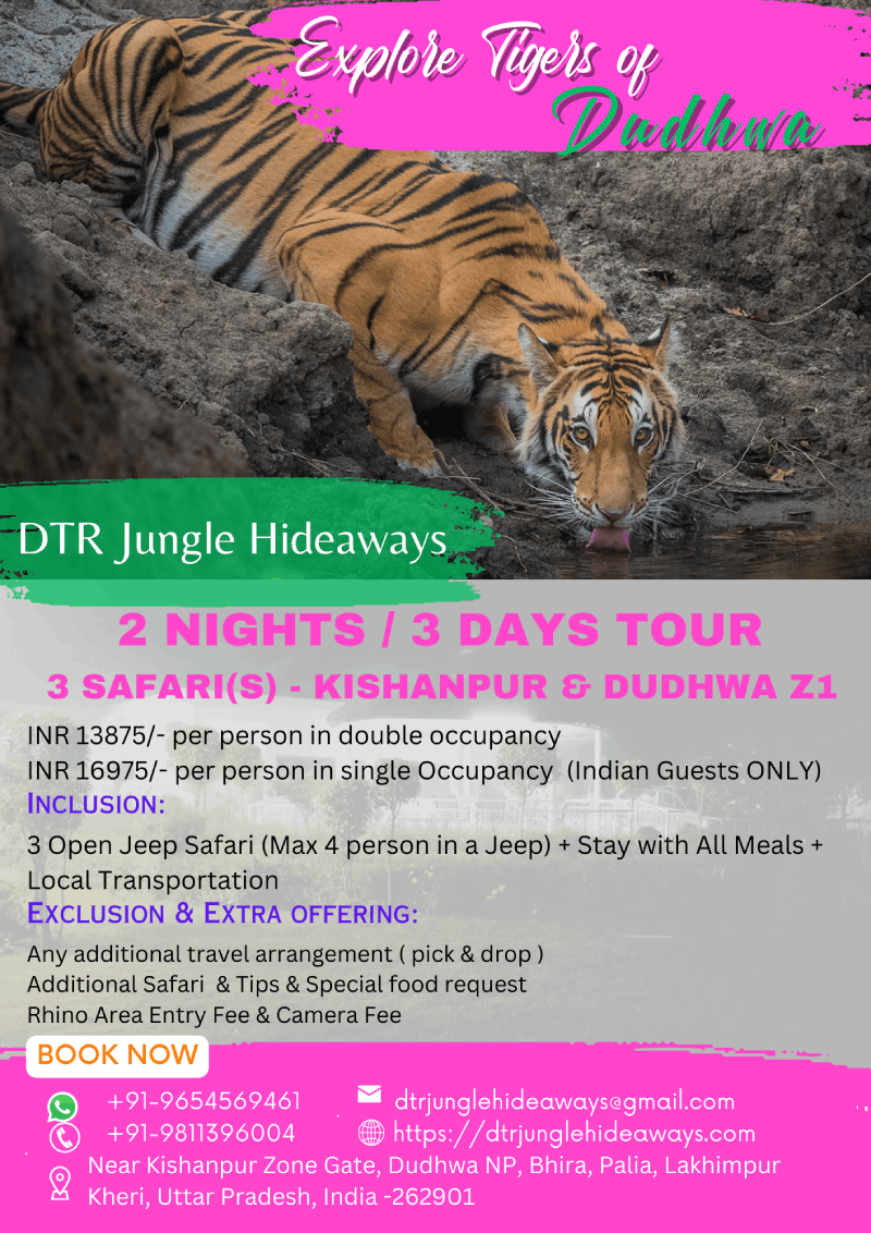 Tiger Reserve Holiday Tour Packages in Dudhwa National Park